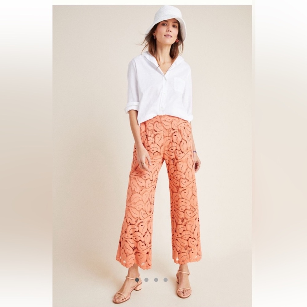 NWT Anthropologie size 4 Dolly lace trousers